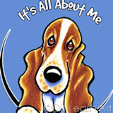 Basset Hound IAAM