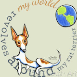 My World Revolves Around My Rat Terrier